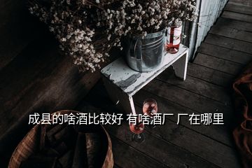 成縣的啥酒比較好 有啥酒廠 廠在哪里