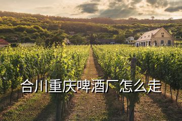 合川重慶啤酒廠怎么走