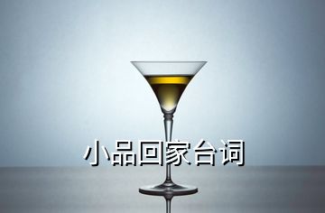 小品回家臺詞