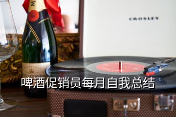 啤酒促銷(xiāo)員每月自我總結(jié)