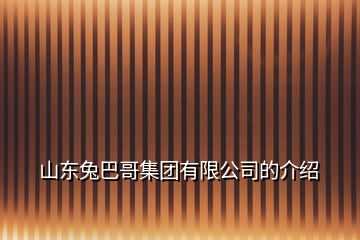 山東兔巴哥集團(tuán)有限公司的介紹