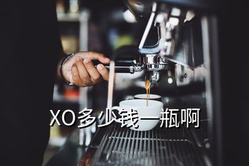 XO多少錢一瓶啊