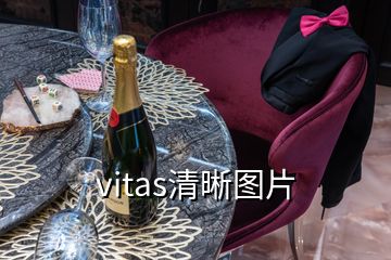 vitas清晰圖片