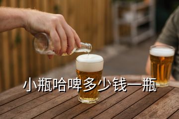 小瓶哈啤多少錢(qián)一瓶