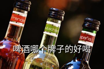 啤酒哪個(gè)牌子的好喝