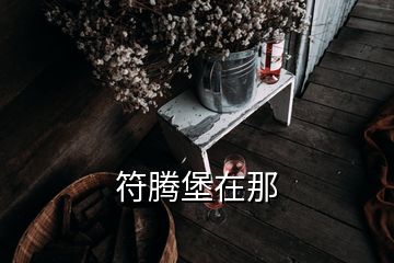 符騰堡在那