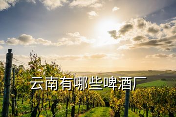 云南有哪些啤酒廠(chǎng)