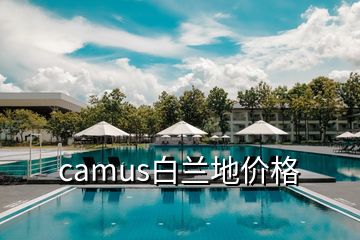 camus白蘭地價(jià)格