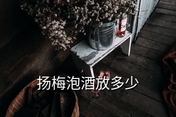 揚(yáng)梅泡酒放多少