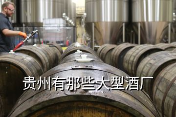 貴州有那些大型酒廠