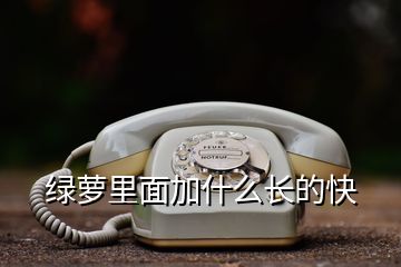 綠蘿里面加什么長的快