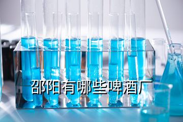 邵陽有哪些啤酒廠