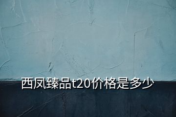 西鳳臻品t20價格是多少