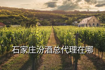 石家莊汾酒總代理在哪