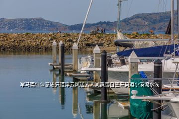 軍馬篇什么意思只道浮云風送去人間霹靂自空來莫道小溪流水淺