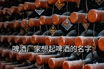 啤酒廠家想起啤酒的名字