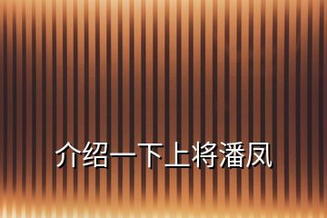 介紹一下上將潘鳳