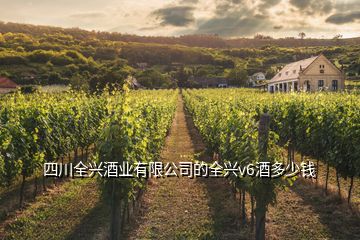 四川全興酒業(yè)有限公司的全興v6酒多少錢(qián)