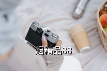 煙精品88