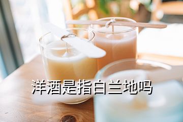 洋酒是指白蘭地嗎