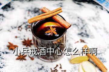 小兵戒酒中心怎么樣啊