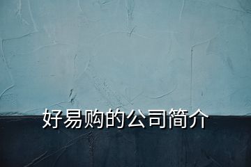 好易購的公司簡(jiǎn)介