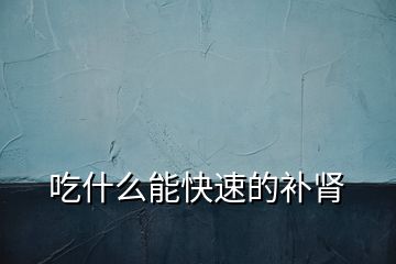 吃什么能快速的補(bǔ)腎