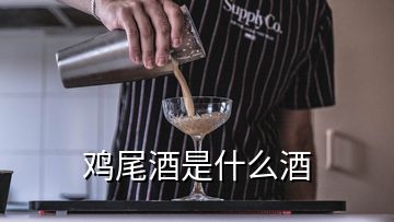 雞尾酒是什么酒