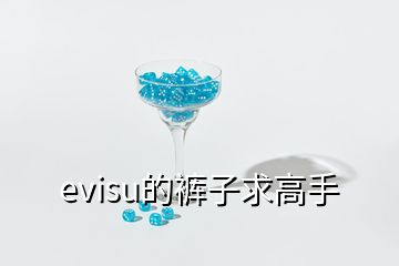 evisu的褲子求高手