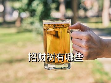 招財樹有哪些