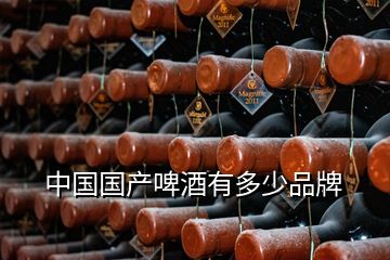 中國(guó)國(guó)產(chǎn)啤酒有多少品牌