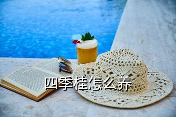 四季桂怎么養(yǎng)