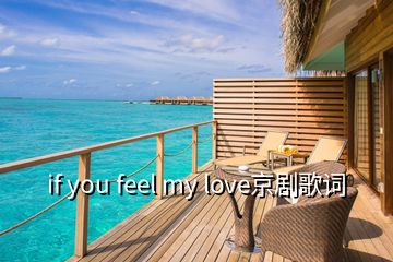 if you feel my love京劇歌詞