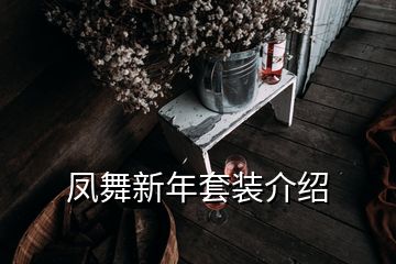 鳳舞新年套裝介紹