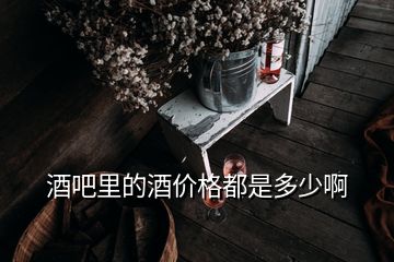 酒吧里的酒價格都是多少啊