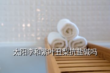 太陽(yáng)李和紫葉丑梨抗鹽堿嗎