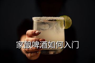 家釀啤酒如何入門