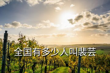 全國(guó)有多少人叫裴蕓