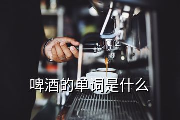 啤酒的單詞是什么