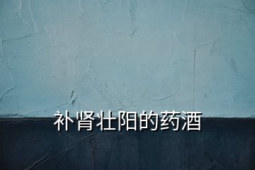 補(bǔ)腎壯陽的藥酒