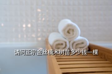 請(qǐng)問(wèn)正宗金絲楠木樹苗多少錢一棵