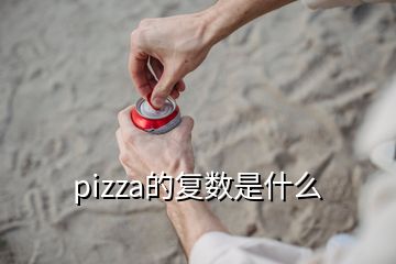 pizza的復(fù)數(shù)是什么