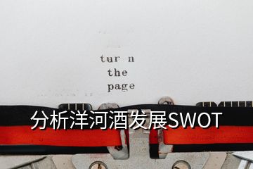 分析洋河酒發(fā)展SWOT