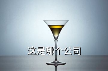 這是哪個(gè)公司