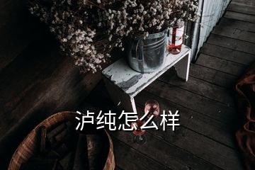 瀘純怎么樣