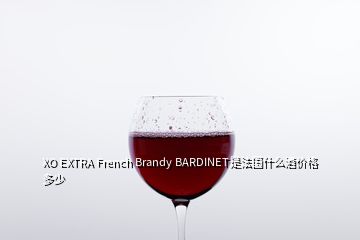 XO EXTRA French Brandy BARDINET是法國什么酒價格多少