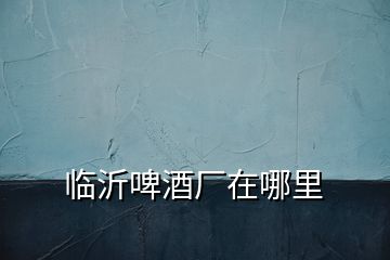 臨沂啤酒廠在哪里