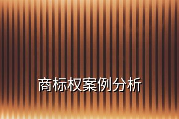 商標(biāo)權(quán)案例分析