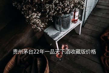 貴州茅臺22年一品天下酒收藏版價(jià)格