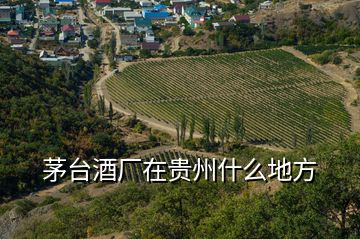 茅臺(tái)酒廠在貴州什么地方